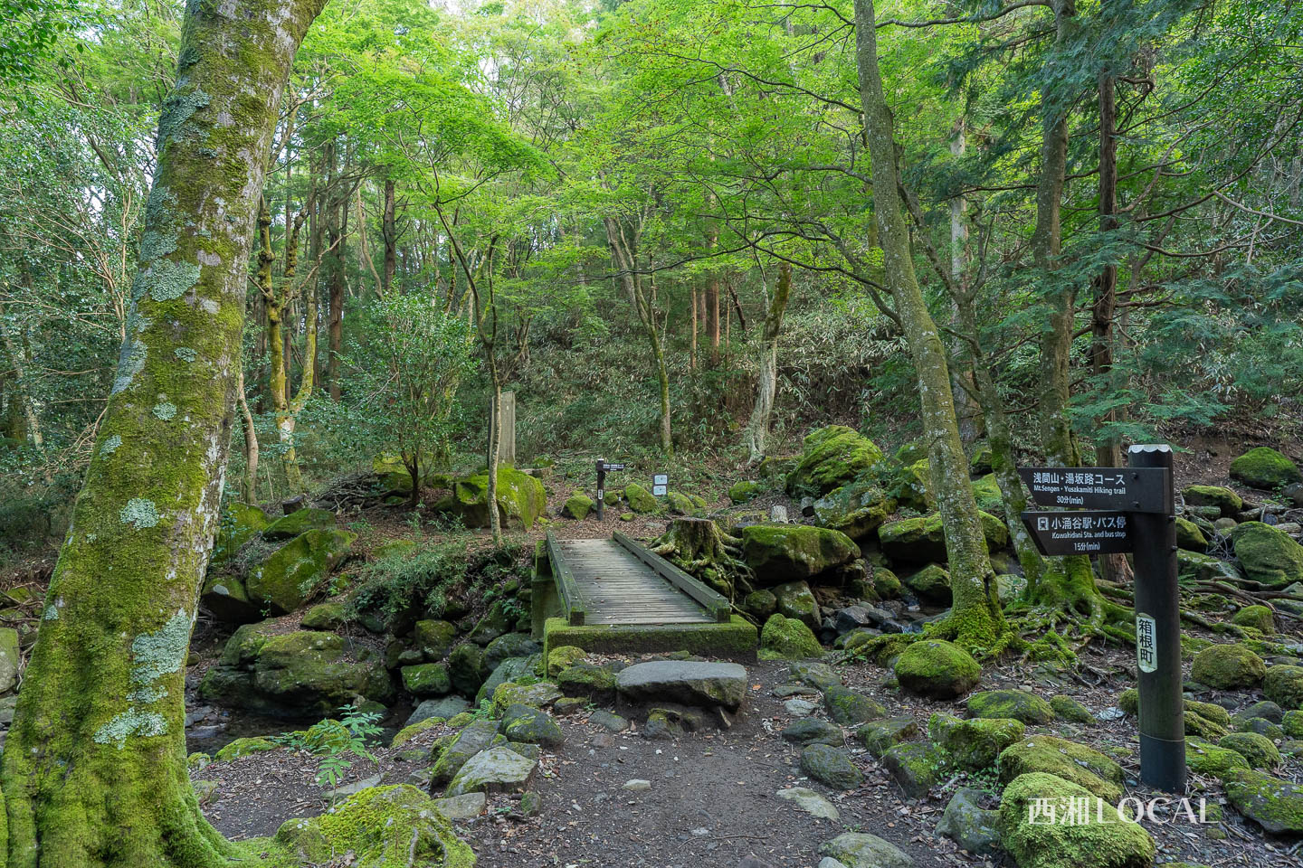 千条の滝周辺の遊歩道（箱根町）